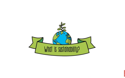 Lissa’s Friday Blog Series 2 – Exploring what is meant by ‘sustainability’