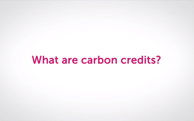 Lissa’s Friday Blog: What are carbon offsets and how do they work?