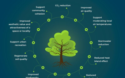 Discover the many benefits of trees and other green infrastructure via