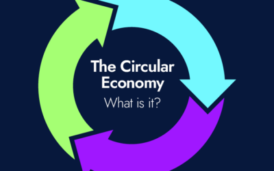 The circular economy – what is it?